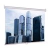  Проекционный экран Lumien Eco Picture LEP-100103 настенный с механизмом возврата / 200x200 см 