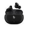  Беспроводные наушники Beats Studio Buds True с системой шумоподавления черный 