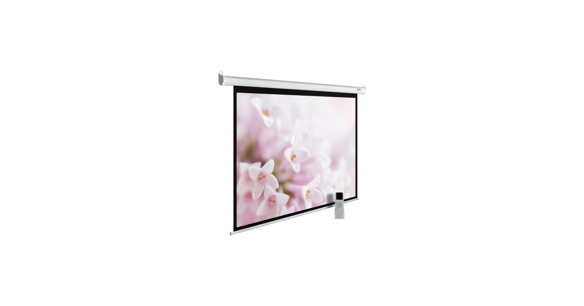 Купить Экран Cactus 240x240см MotoExpert CS-PSME-240x240-WT 1:1 ...