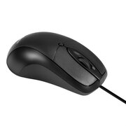  Мышь ExeGate Professional Standard B100L EX298196RUS черная 