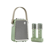  Портативная колонка Divoom SongBird-HQ 2 с двумя микрофонами зеленый 