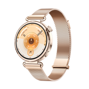  Smart-часы HUAWEI GT 6 KSU-B19 55020FVW Gold 