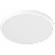 Умный светильник Xiaomi Mi Smart LED Ceiling Light D30 (BHR9934GL) потолочный 