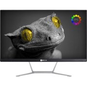  Моноблок Тесла Z24B (2416500) 