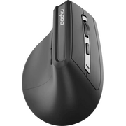  Мышь RAPOO EV310M-DGR черный 