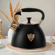  Чайник ZEIDAN Z-4474 3,0л Black нерж 