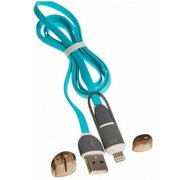  Дата-кабель Ritmix RCC-200 microUSB + 8-pin 1м Blue 
