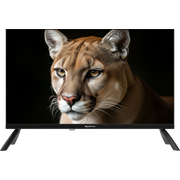  Телевизор TopDevice TDWC24BH1000I черный 