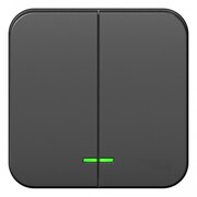  Выключатель Systeme electric Blanca BLNVA105116 двухклавишный наружный схема 5 с подсветкой и изоляционной пластиной 10а 250b антрацит 