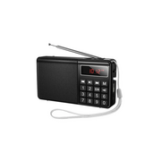  Портативный радиоприемник HOCO HI50 Portable radio черный 