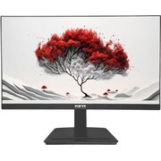  Монитор RDW Computers RDW2401K (2401K/Q09В0100V2A1) черный 