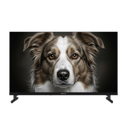  Телевизор Topdevice TDWC32BH5260V черный 