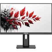  Монитор RDW 2701K ЕМТЦ.467846.016 (2701K/F08B3120V2A1) 