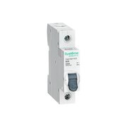  Автоматический выключатель Systeme Electric City9 Set B (C9F16125) 
