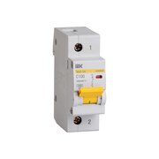  Автоматический модульный выключатель IEK ИЭК MVA40-1-100-C 