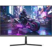  Монитор Elsa EA241S Pro 