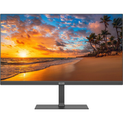  Монитор Elsa EA241Q SE 