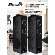  Акустическая система ELTRONIC 30-49 Home Sound черный 