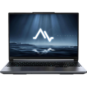  Ноутбук Maibenben X16C-R72555 (X16C-R725550F44LG4E10-Linux) 16" WUXGA IPS 165Hz, AMD R7 H 255, 16Gb, 512Gb SSD, NVidia RTX5050 8Gb серый 