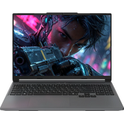  Ноутбук MAIBENBEN X-Treme Typhoon X16C (X16C-R725560F44HG4E10-Win11) Ryzen 7 H 255 16Gb SSD 512Gb NVIDIA RTX 5060 8Gb 16 WUXGA IPS Cam 60Вт*ч Серый 