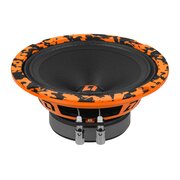  Автоакустика DL Audio Barracuda 165 V.2 