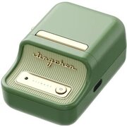  Термопринтер Niimbot B21 Pro 300dpi 60мм/с/USB/BT для печ.этик. салатовый 