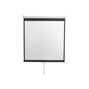  Экран Digis Optimal-D DSOD-16905 248x144см 16:9 настенный рулонный белый 