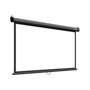  Экран Lumien Eco Picture LEP-100130 100" 157x227см 16:9 настенно-потолочный рулонный черный 