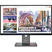  Монитор Lenovo ThinkVision P27QD-40 (64B3GAT2UK) черный IPS LED 4ms 16:9 HDMI матовая HAS Piv 1500:1 350cd 178гр/178гр 2560x1440 120Hz DP QHD USB 6.8кг 