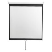  Экран Digis Optimal-D DSOD-16906MW 120" 273x159см 16:9 настенный рулонный белый 