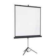  Экран Lumien Master View LMV-100105 на треноге 131" 244x244см 1:1 напольный рулонный 