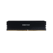  ОЗУ Biostar Storming V (DO32NU4H08) 8GB DDR4 PC4-25600 