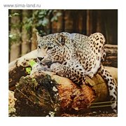  Картина на стекле "Леопард"   30*30см (1138516) 