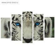  Картина модульная на подрамнике "Голубые глаза тигра" 2-25*52,2-25*66,5,1-25*80, 80*140 см (1349627) 