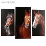  Модульная картина "Три лошадки" (2-25х50, 30х60см) 60х80 см (4675794) 