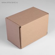 Коробка самосборная 26,5 х 16,5 х 19 см (4410971) 