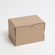  Коробка самосборная, бурая, 15 х 10 х 10 см (7370795) 