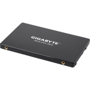  Твердотельный накопитель 256Gb SSD Gigabyte (GP-GSTFS31256GTND) 