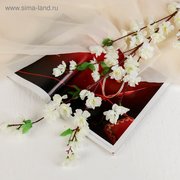  Цветы искусственные сакура нежность 105 см белый (701093) 
