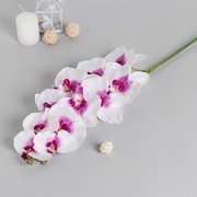  Цветы искусственные "Орхидея Галатея" 95 см, бело-фиолетовый (2337937) 