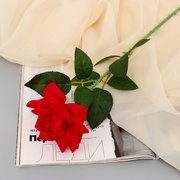  Цветы искусственные "Роза Пьер де Ронсар" d-11 см 60 см ярко-красный (7441966) 