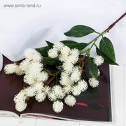  Цветы искусственные "Рицина" 2,5х73 см, белый (4738192) 