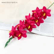  Цветы искусственные "Камбрия" 9х71 см, малиновый (4301697) 
