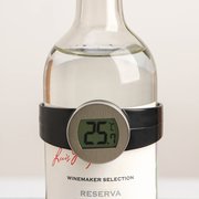  Термометр для вина Magic, 8×8×4 см, нержавеющая сталь (7611835) 