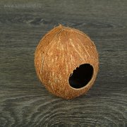  Скорлупа кокосовая целая для рептилий и грызунов, M (2543743) 