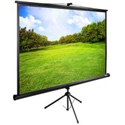  Экран Cactus 150x200см TriExpert CS-PSTE-200x150-BK 4:3 напольный рулонный черный 