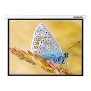  Экран Lumien 229x305см Master Control LMC-100110 4:3 рулонный (мотор) 