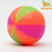  Мячик светящийся для собак "Цирковой", TPR, 6,5 см, микс цветов (1377293) 
