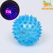  Мяч светящийся для собак средний, TPR, 5,5 см, голубой (6255218) 
