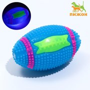  Мяч для собак светящийся с пищалкой "Регби", TPR, 7 см, голубой (7442163) 